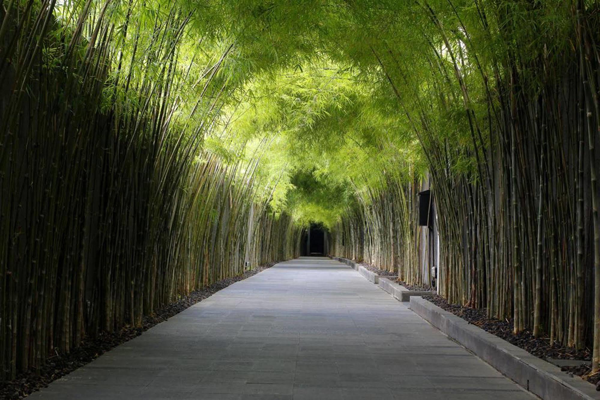 The Jineng Villas By Ekosistem Seminyak Dış mekan fotoğraf